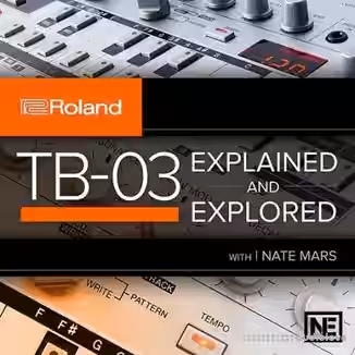 Ask Video Roland Boutique 104 TB-03 Explained and Explored [TUTORiAL]