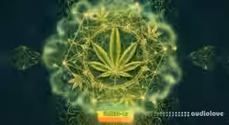 Atix Universe RASTA 528Hz v1.1.8 [WiN]