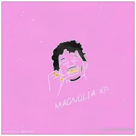 Ave Mcree Magnolia [Synth Presets] - Sample Pack Artwork