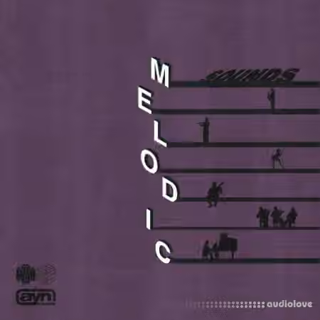 AYN Sounds Melodic Sounds Multi-Kit [WAV, Synth Presets] - Sample Pack Artwork