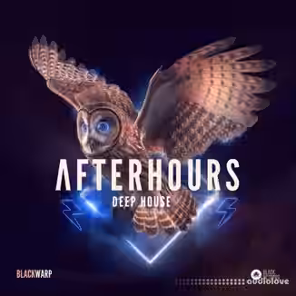 Black Octopus Sound Afterhours Deep House [WAV]