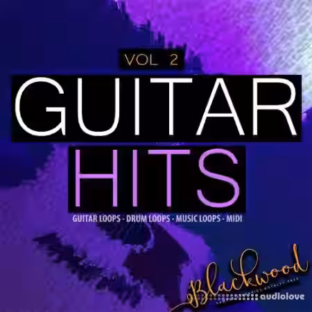 Blackwood Samples Guitar Hits Vol 2 [WAV, MiDi] - Sample Pack Artwork