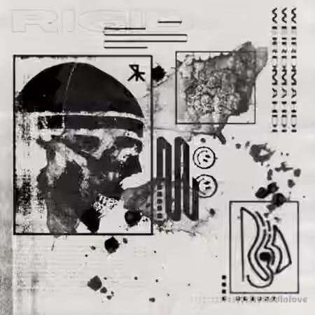 Cash Gang Weird Mahdi Rigid Sample Pack [WAV] - Sample Pack Artwork