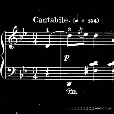 Coursera Michigan State University Getting Started with Music Theory [TUTORiAL] - Sample Pack Artwork