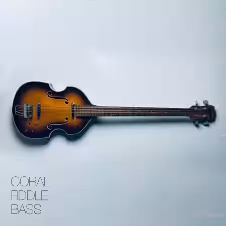David Hilowitz Coral Fiddle Bass v1.0.1 [Synth Presets] - Sample Pack Artwork