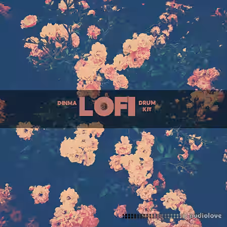 Dinma Beats Lo-Fi Drum Kit [WAV] - Sample Pack Artwork