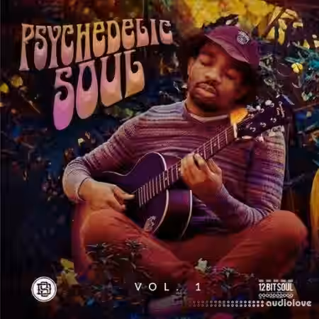 Divided Souls Psychedelic Soul [WAV] - Sample Pack Artwork