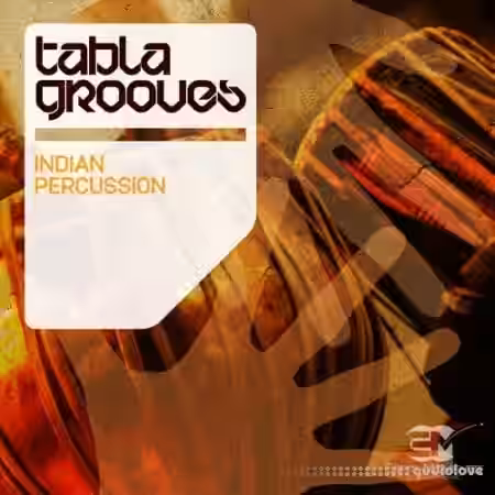 EarthMoments Tabla Groove Indian Percussion [WAV] - Sample Pack Artwork