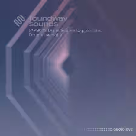 foundwav sounds FWS002 Drum and Bass Expressions Drums 160 Vol 2 [WAV] - Sample Pack Artwork
