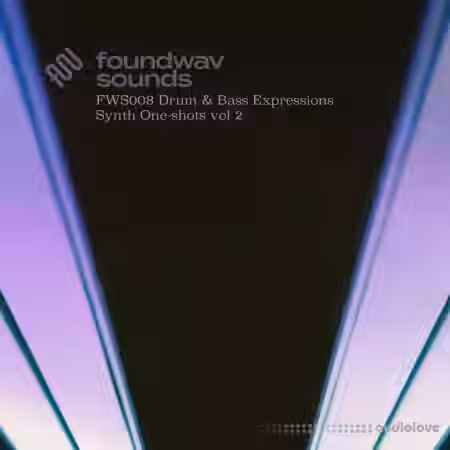 foundwav sounds FWS008 Drum and Bass Expressions Synth Oneshots Vol 2 [WAV] - Sample Pack Artwork