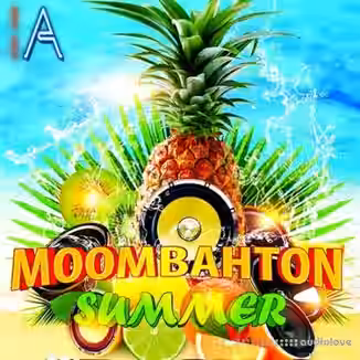 Fox Samples Must Have Audio: Moombahton Summer [WAV, MiDi]