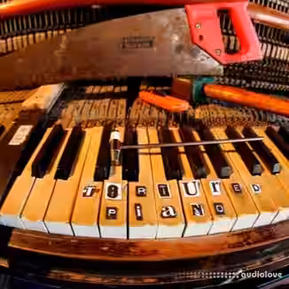 HISS and a ROAR SD006 TORTURED PIANO [WAV]