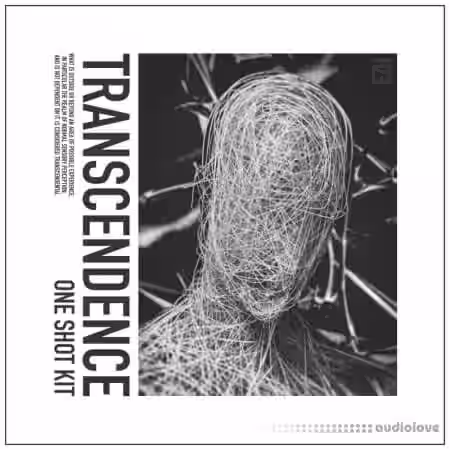 HZE Transcendence (One Shot Kit) [WAV] - Sample Pack Artwork