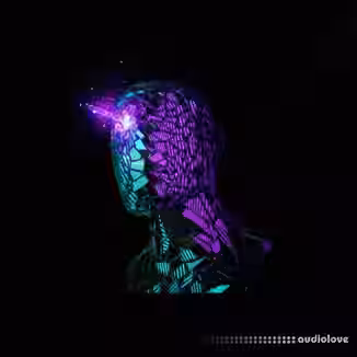 Key Jungle Slow Motion Modern RnB Samples [WAV, MiDi]
