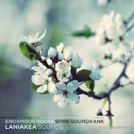 Laniakea Sounds Enormous House Spire Soundbank [Synth Presets] - Sample Pack Artwork