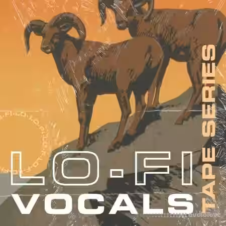 Lazerdisk Tape Series Lo-Fi Vocals [WAV] - Sample Pack Artwork