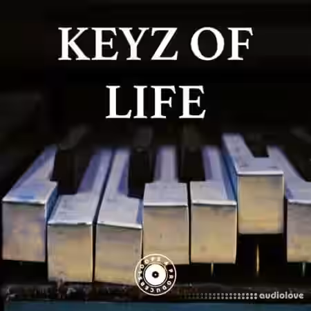 Loops 4 Producers Keyz Of Life [WAV] - Sample Pack Artwork