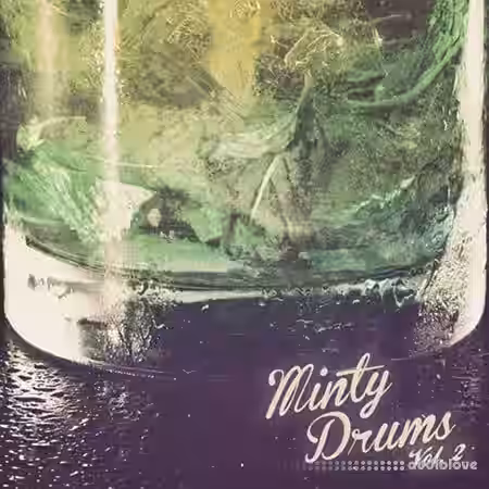 Minty Drums and Percussion Vol.2 [WAV] - Sample Pack Artwork