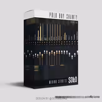 Polo Boy Shawty Mixing Secrets FL Preset Kit [DAW Presets]