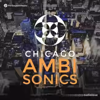 Pro Sound Effects Library Chicago Ambisonics [WAV]