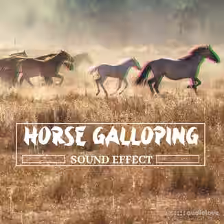 Pro Sound Effects Library Horse Galloping Sound Effect [FLAC]