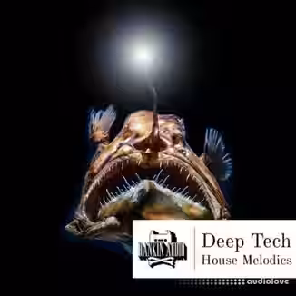 Rankin Audio Deep Tech House Melodics [WAV, MiDi]