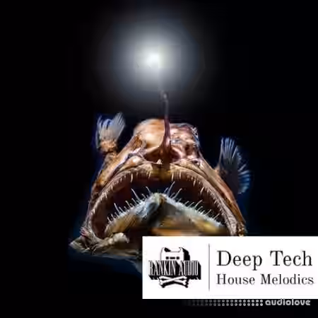 Rankin Audio Deep Tech House Melodics [WAV, MiDi] - Sample Pack Artwork