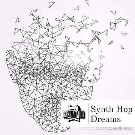 Rankin Audio Synth Hop Dreams [WAV] - Sample Pack Artwork