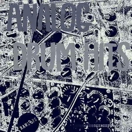 Raw Loops Analog Drum Hits [WAV] - Sample Pack Artwork