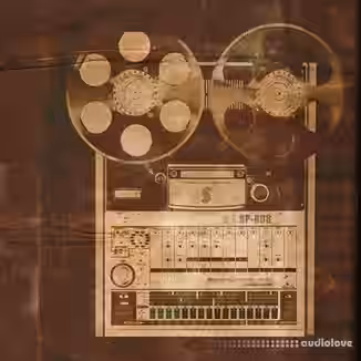 Samplephonics 808 [MULTiFORMAT]