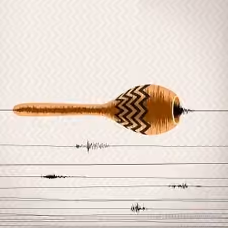 Samplephonics Electroacoustic Shaker Percussion [WAV, REX, AiFF] - Sample Pack Artwork