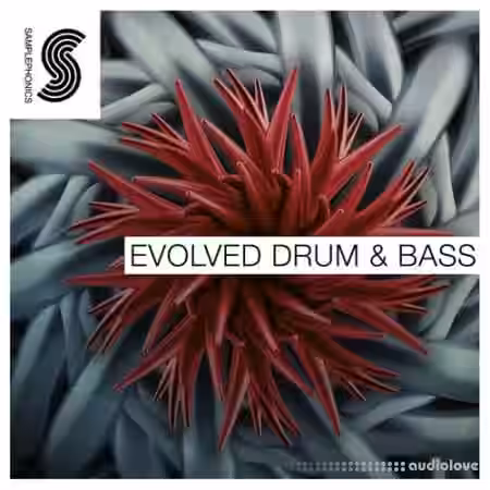 Samplephonics Evolved Drum and Bass [MULTiFORMAT] - Sample Pack Artwork