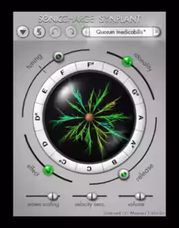 Sonic Charge Synplant v1.2.6 [WiN] - Sample Pack Artwork