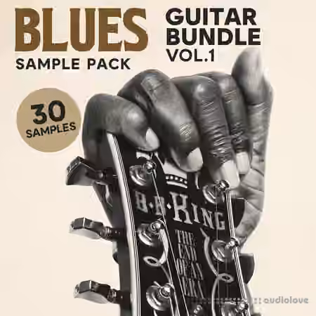 Soul Chemist Blues Guitar Bundle Vol.1 [WAV] - Sample Pack Artwork
