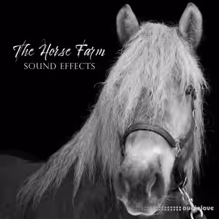 Sound Effects Zone The Horse Farm Sound Effects [FLAC] - Sample Pack Artwork