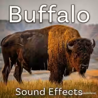 Sound Ideas Buffalo Sound Effects [FLAC]