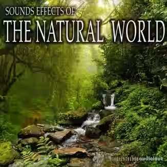 Sound Ideas Sound Effects Of The Natural World [FLAC]