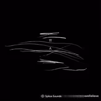 Splice Sounds Telefon Tel Aviv Sample Pack [WAV]