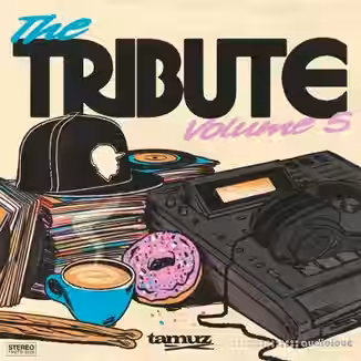Tamuz The Tribute Vol.5 [WAV]