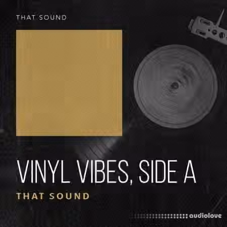 That Sound Vinyl Vibes - Side A [WAV, Synth Presets] - Sample Pack Artwork