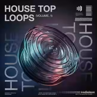 The Warehouse Sounds House Top Loops Vol.1 [WAV]