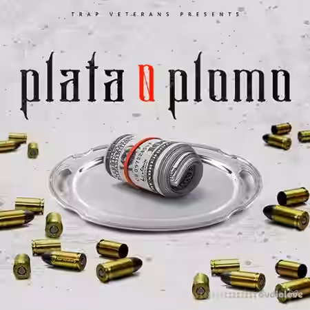 Trap Veterans Plata O Plomo [WAV, MiDi, FL Studio] - Sample Pack Artwork