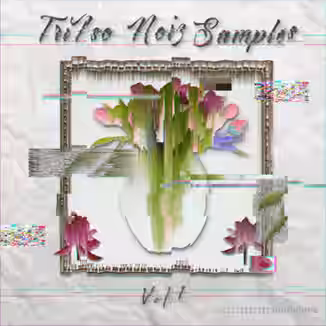 TriIso Noiz Samples Vol.1 [WAV, Synth Presets]