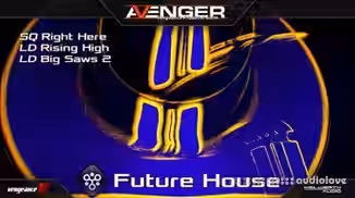 Vengeance Avenger Expansion Pack Future House [Synth Presets]