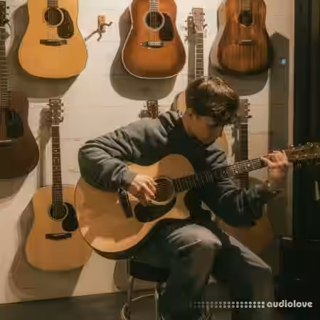 WavDistrict Producer Guitar Masterclass by MST [TUTORiAL] - Sample Pack Artwork