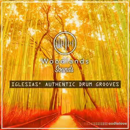 Woodlands Sounds Iglesias Authentic Drum Grooves [WAV] - Sample Pack Artwork