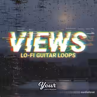 Your Local Musician Views Ambient Guitar Loops [WAV]